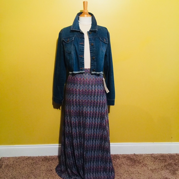 Life Style Dresses & Skirts - ⭐️NWT LIFE STYLE RICH CHEVRON MAXI SKIRT SIZE L